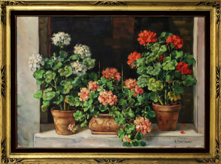 Alfio Paolo Graziani — Gerani